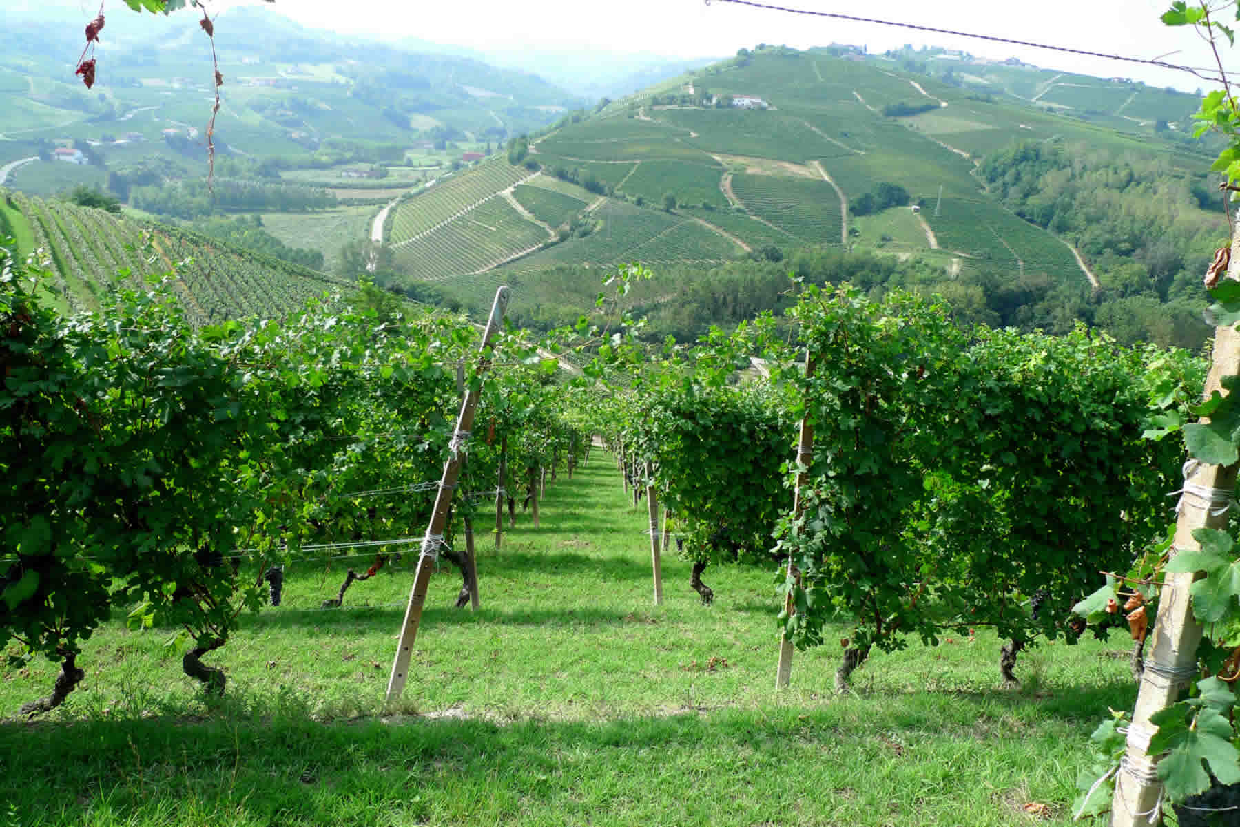 Cascina Riveri