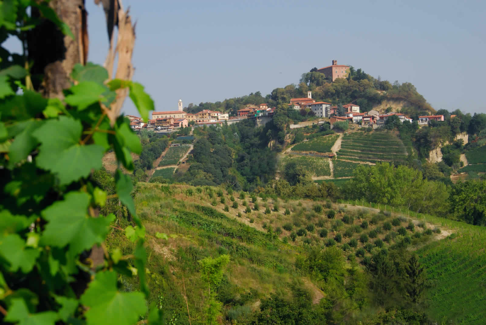 Cascina Riveri